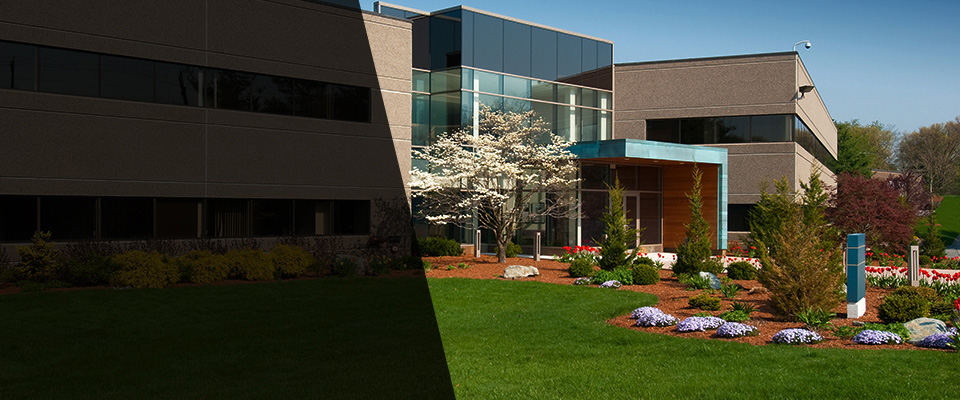 California City Landscapers