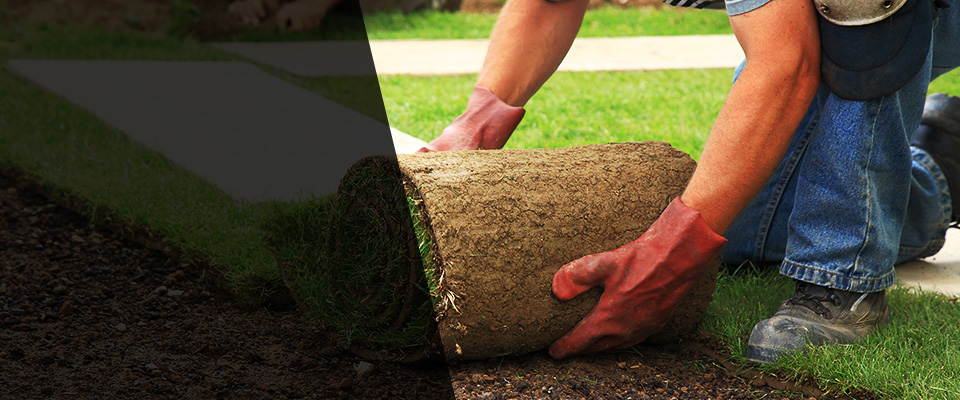 California City Landscapers